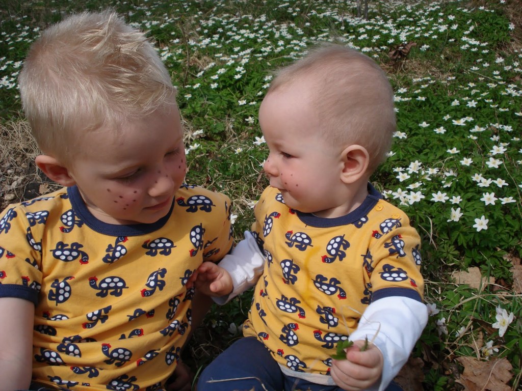 Denna bild har ett alt-attribut som är tomt. Dess filnamn är cc5ee-dsc05705.jpg