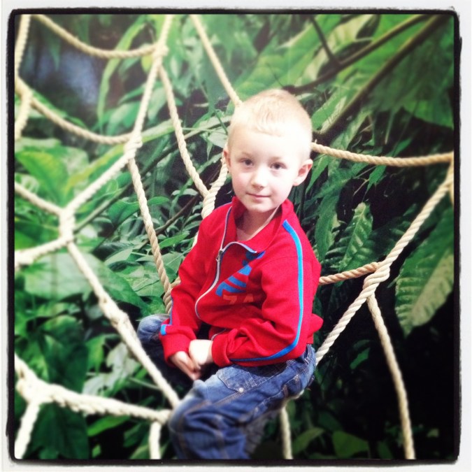 88fe6-9a01f045-fc6f-4af9-a029-375254673d63