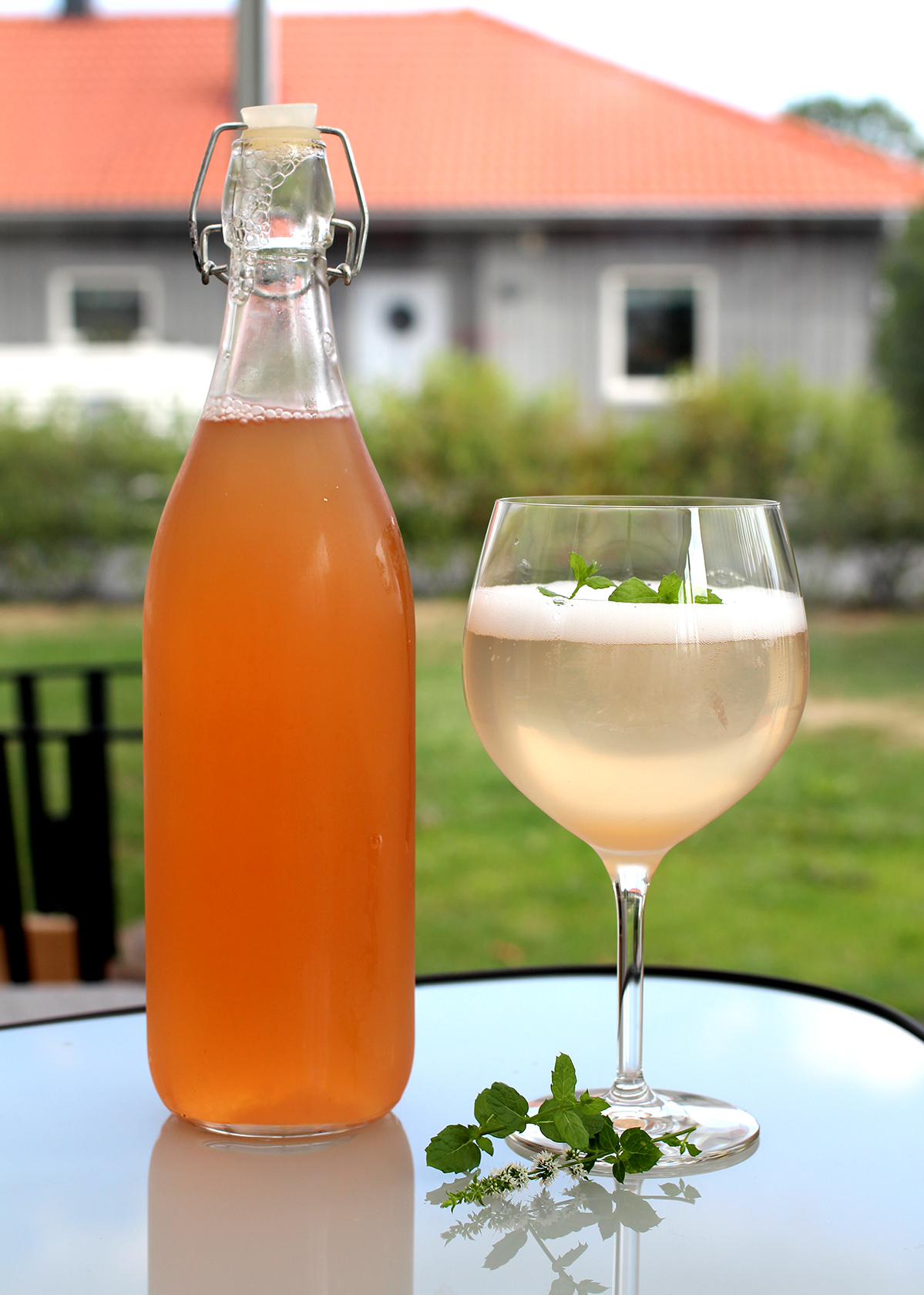 Hemgjord Äppelsaft | godatankar.com