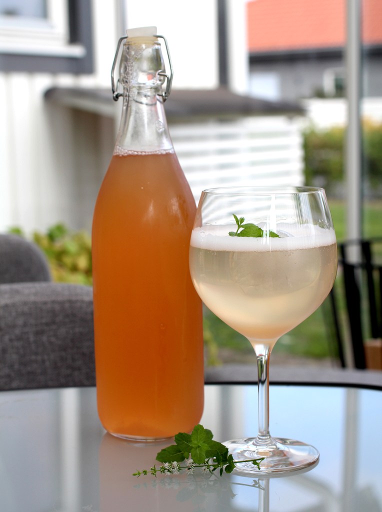 Hemgjord Äppelsaft | godatankar.com